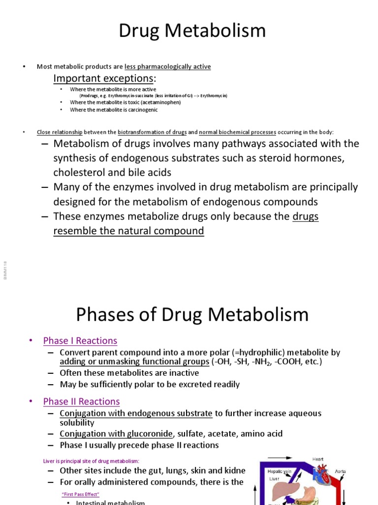 Drug Metabolism: Biotransformation Phases | PDF | Drug Metabolism ...