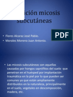 Definición Micosis