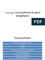 Fisiologi Visual Pathway