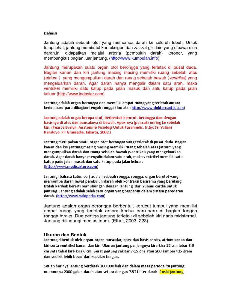 Letak Dan Posisi Jantung | PDF