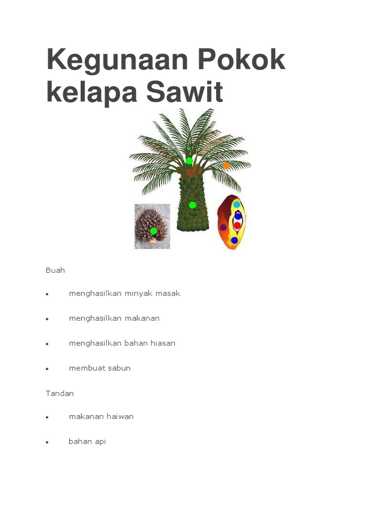 Kegunaan Pokok Kelapa Sawit Pdf