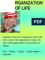 6.2 Organization of Life