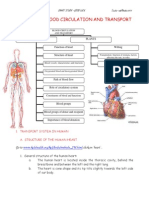 chapter-2-blood-circulation-doc2