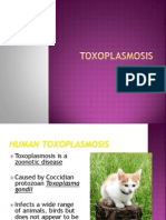 Toxoplasmosis