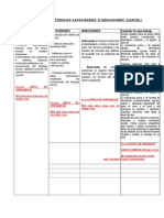 Matriz de Competencias Capacidades e Indicadores