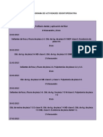 Cronograma de Actividades Ppi