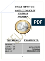 Project Report Euro 110725120150 Phpapp02