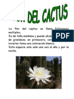 La Flor Del Cactus