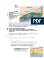 Biología - Membrana Plasmática