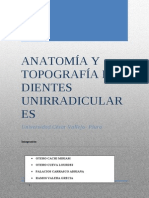 Endodoncia Anatomia y Topografia de Dientes Anteriores
