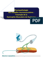 DCEM2 Neuromusc.pdf