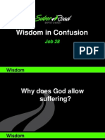 Wisdom in Confusion