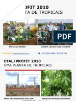 Planta Tropical 2010 PDF