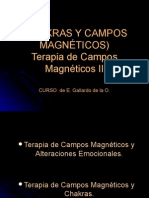 CHAKRAS  y  Campos  Magnéticos