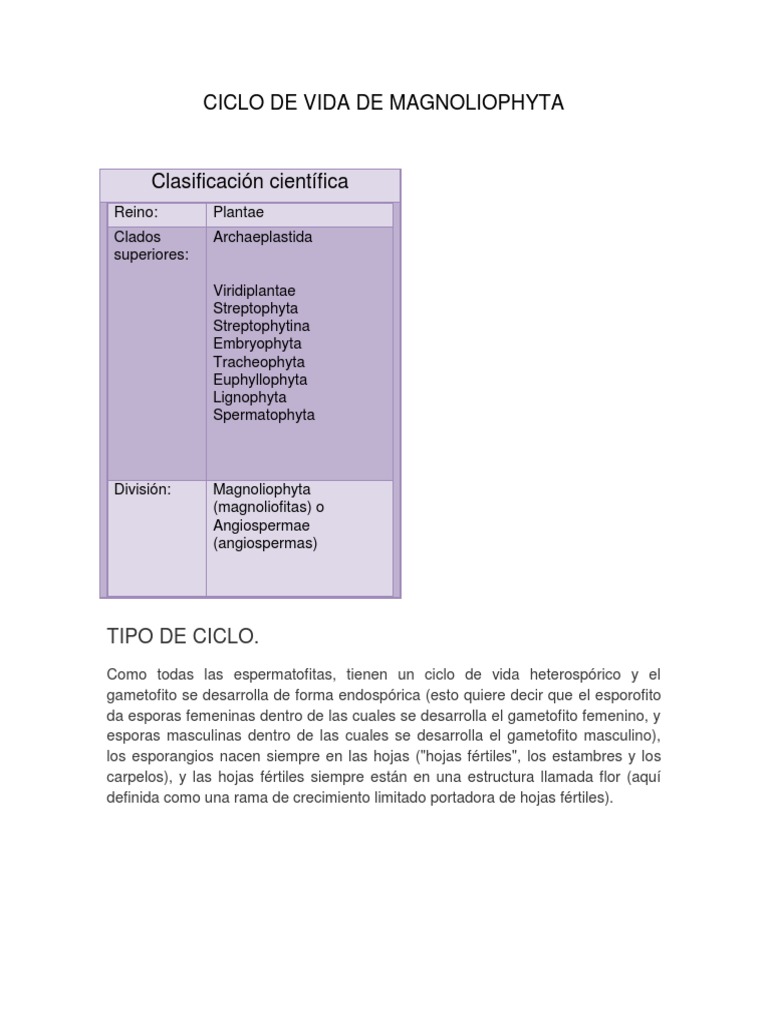 Ciclo de Vida de Magnoliophyta | PDF