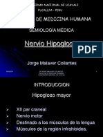 Nervio Hipogloso