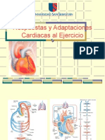 Adaptacion Cardiovascular