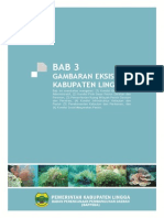 Download BAB 3 GAMBARAN EKSISTING KABUPATEN LINGGApdf by Onces SN211543682 doc pdf