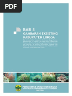 Download BAB 3 GAMBARAN EKSISTING KABUPATEN LINGGApdf by Onces SN211543682 doc pdf