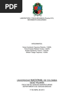 LABORATORIO 4- FISICA MRUA