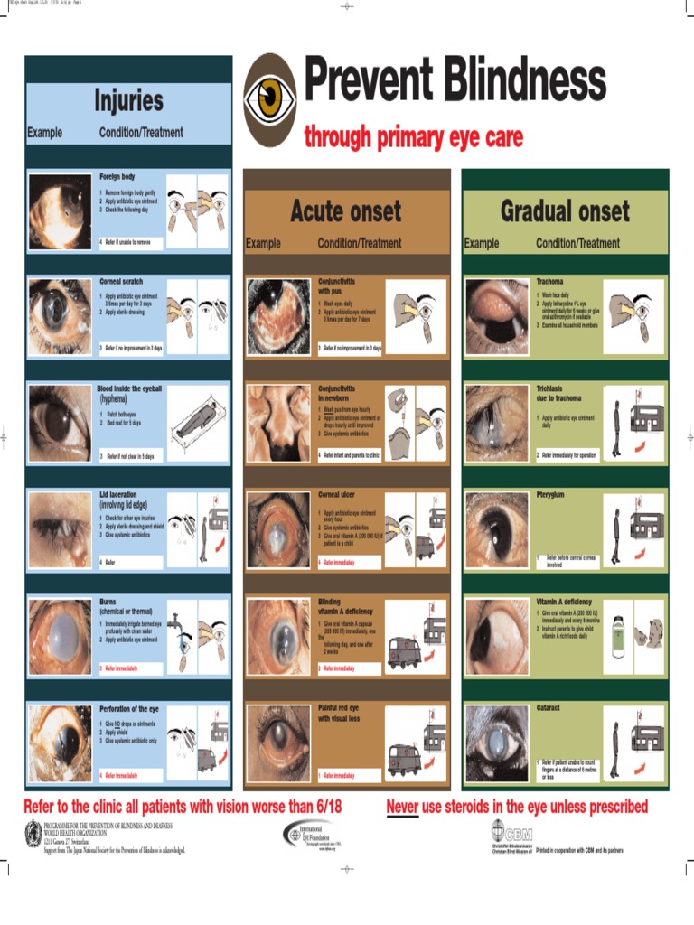 Injuries Through Primary Eye Care PDF Visual Impairment Diseases