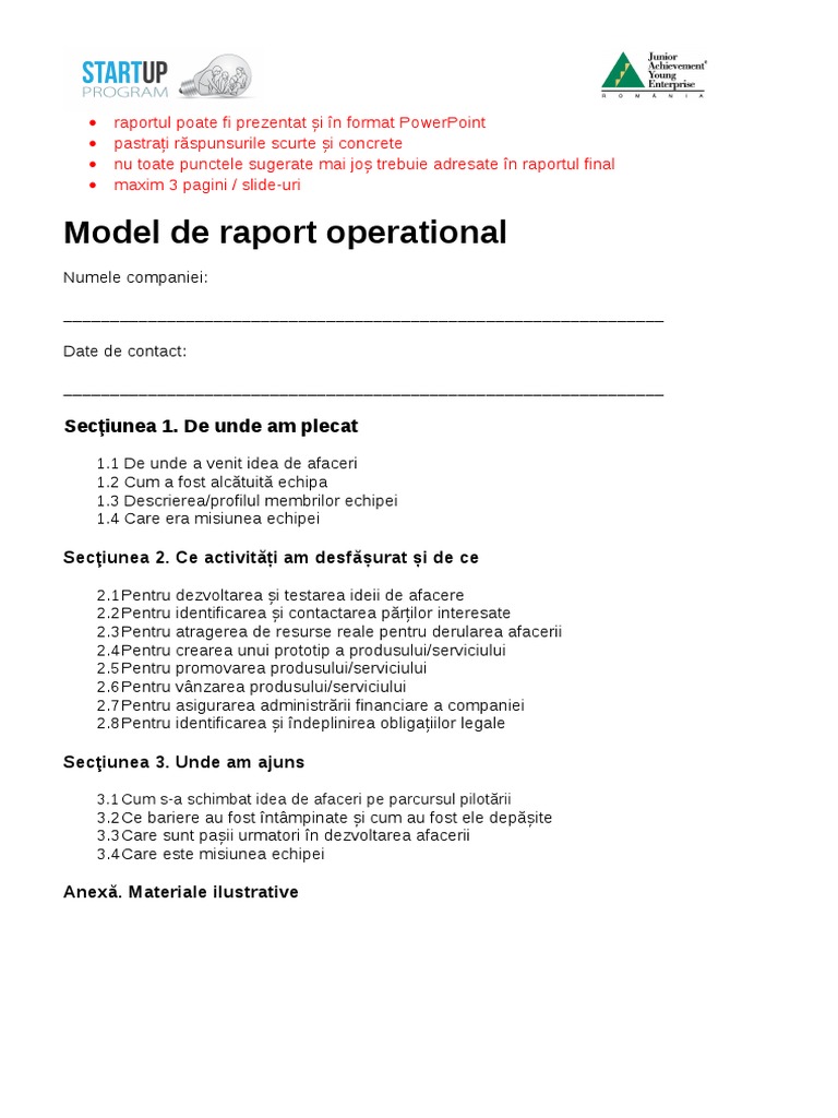 Model de Raport Operational | PDF