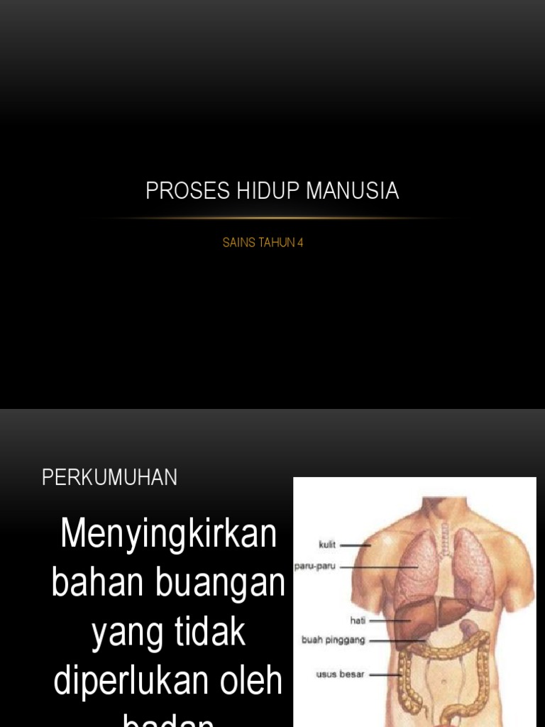  Proses hidup manusia 