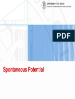 BWLA - Spontaneous Potential - Gamma Ray