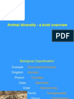 L15 Animal Diversity1