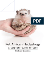 PetAfricanHedgehogs2-byKimberlyGoertzen