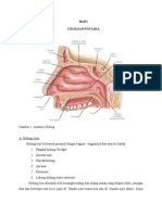 41295367 Case Polip Nasal Dextra