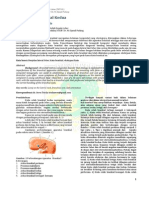 Kista Celah Brankial Kedua PDF