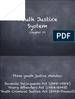 Lesson 1 - Youth Justice System