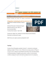 9. SMS Phragmites Control Background Information