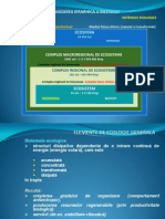 01-2 Sisteme-piramida-resurse