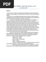 Pâncreas, fígado, intestino grosso, reto e canal anal - Transcrição
