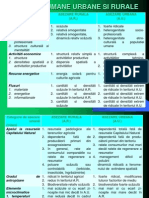 06 2 Asezari Ur Rur Necesit Dinam Ec Urbancosistemul Urban