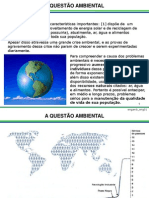 Questão Ambiental1