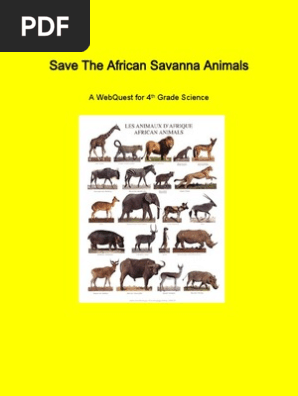 animal adventure