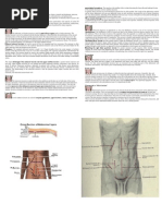 Type of Incisions