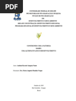 Bambu Alternativa Ecodesenvolvimento - Ricardo Nunes