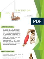 Kinesio Terminado