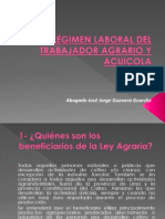 Régimen Laboral Del Trabajador Agrario