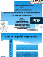 Perfil Del Proyecto