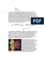 Transgenic Plant 1. Introduction To DNA: Voet, Donald 1995 Biochemistry