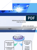 Perdidas de Fluidos o de Circulacion