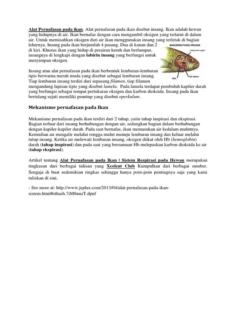 Sebutkan Alat Alat Pernapasan Yang Dimiliki Mamalia Darat - Sebutkan