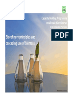 1 Principles of Biorefinery