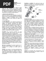 SISTEMA+IMUNOLÓGICO.doc+parte+apostila