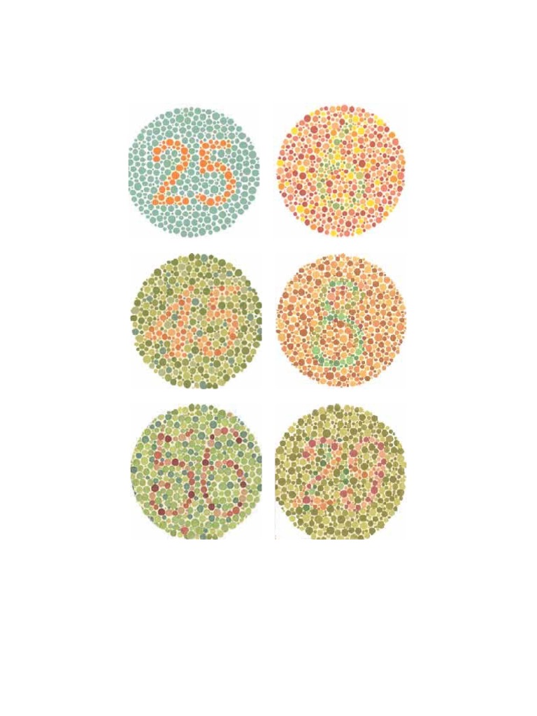 Color Perception Test Results | PDF